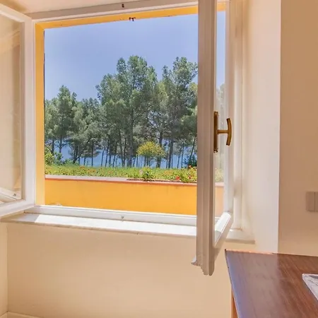 By The Sea - Grilli 3 Lacona